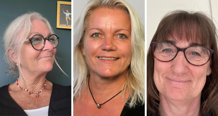 Foto til kronik - Sorø.png