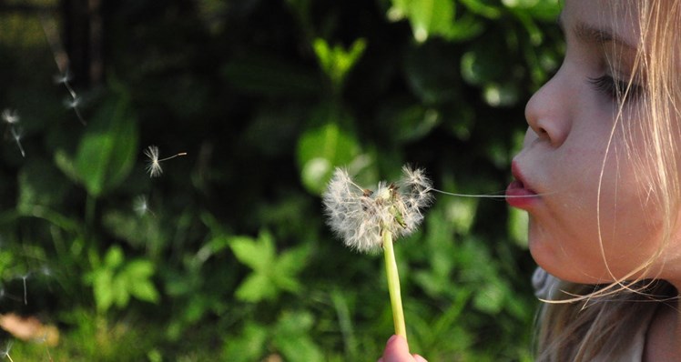 pexels.com_girlwithdandelion_B.jpg