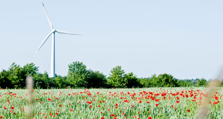 vindmoelle.jpg