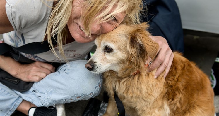 Venner: Nogle af brugerne er firbenede – som fx hunden Silke, hvis ejer fortæller: ’Silke er hjemløs ligesom jeg. Det er en gadehund fra Kreta. Hun er min bedste ven, min tudeklud. Hun holder mit hoved oven vande. Jeg har diagnosen ADHD, og uden Silke tror jeg, at jeg ville drikke mig ihjel.