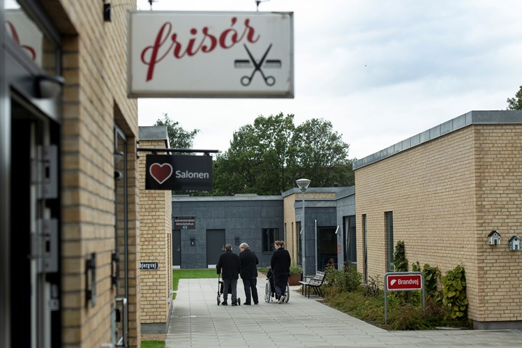 Tornhøjhaven er designet specielt til mennesker med demens i svær grad. Udearealerne ligger i centrum og er omgivet af bygninger, så gåture og aktiviteter kan foregå sikkert. Her er bl.a. en kiosk og en frisørsalon, der er indrettet som i 70’erne. Tanken med udearealerne er også, at alle beboere skal kunne genfinde elementer – planter, træer, græs, frugtbuske, urter osv. – fra deres tidligere tilværelse.