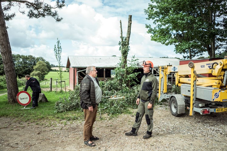 De 2 Gårde, hvor Tommy Neesgaard er leder, består af syv afdelinger med i alt 75 boliger, som ligger fordelt på tre adresser i Brejning, Gauerslund og Sellerup.