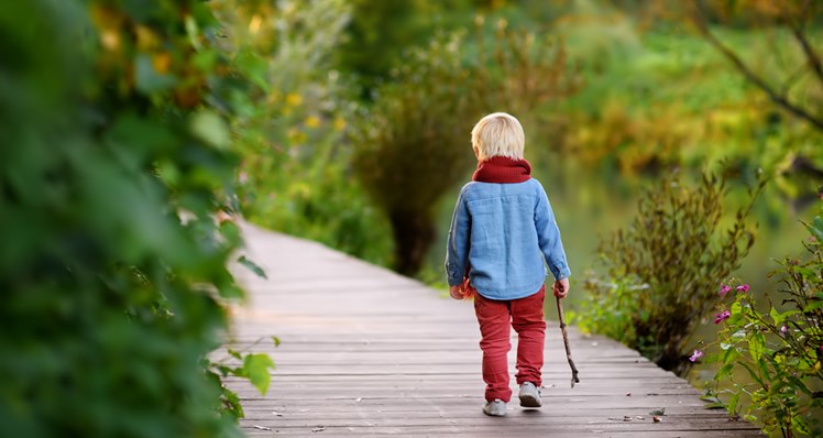 Kronikfoto colourbox.jpg